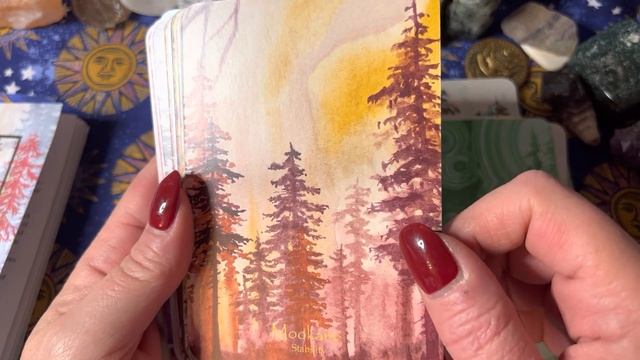 Crystal Forests Intuitive Oracle 2nd Edition Unboxing and Walkthrough смотреть онлайн