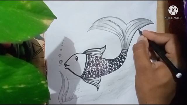 How to draw a unique 3d fish sketch ( step by step) /#fishlife#sketchoffish смотреть онлайн