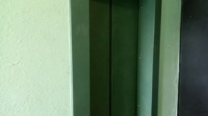 Пассажирский и грузовой лифты ЩЛЗ V=1 г. Москва (район Косино-Ухтомский)