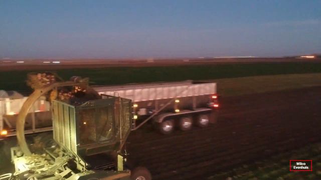 Harvest season 2022 in Vauxhall, Alberta смотреть онлайн