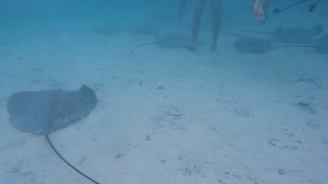 BORA BORA – French Polynesia ?? [Full HD]