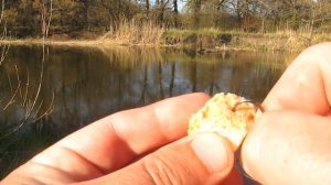 КАК НАЖИВИТЬ КОРКУ ХЛЕБА ДЛЯ ЛОВЛИ ГОЛАВЛЯ | Ловля голавля со дна