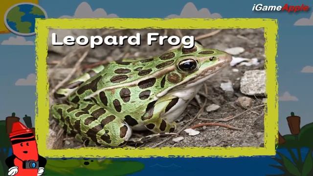 Crayola Colorful Creatures - Around the World! (Gameplay, Walkthrough) смотреть онлайн