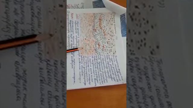 5Микропрепарат.Миокард инфаркты/Инфаркт миокарда смотреть онлайн