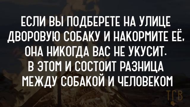 СОЗДАТЕЛЬ ТОМА СОЙЕРА. Марк Твен - лучшие фразы, цитаты, афоризмы о любви, крылатые фразы смотреть онлайн