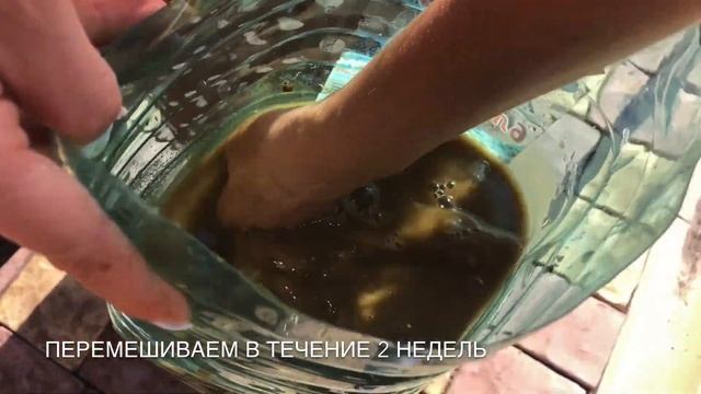 Как вырастить грибы на участке? смотреть онлайн