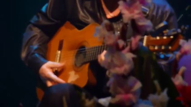 Hot club de Israel и Роман Алексеев смотреть онлайн
