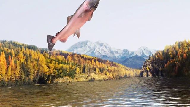 Fishing Clash - Gift code of 25 March,2022 смотреть онлайн