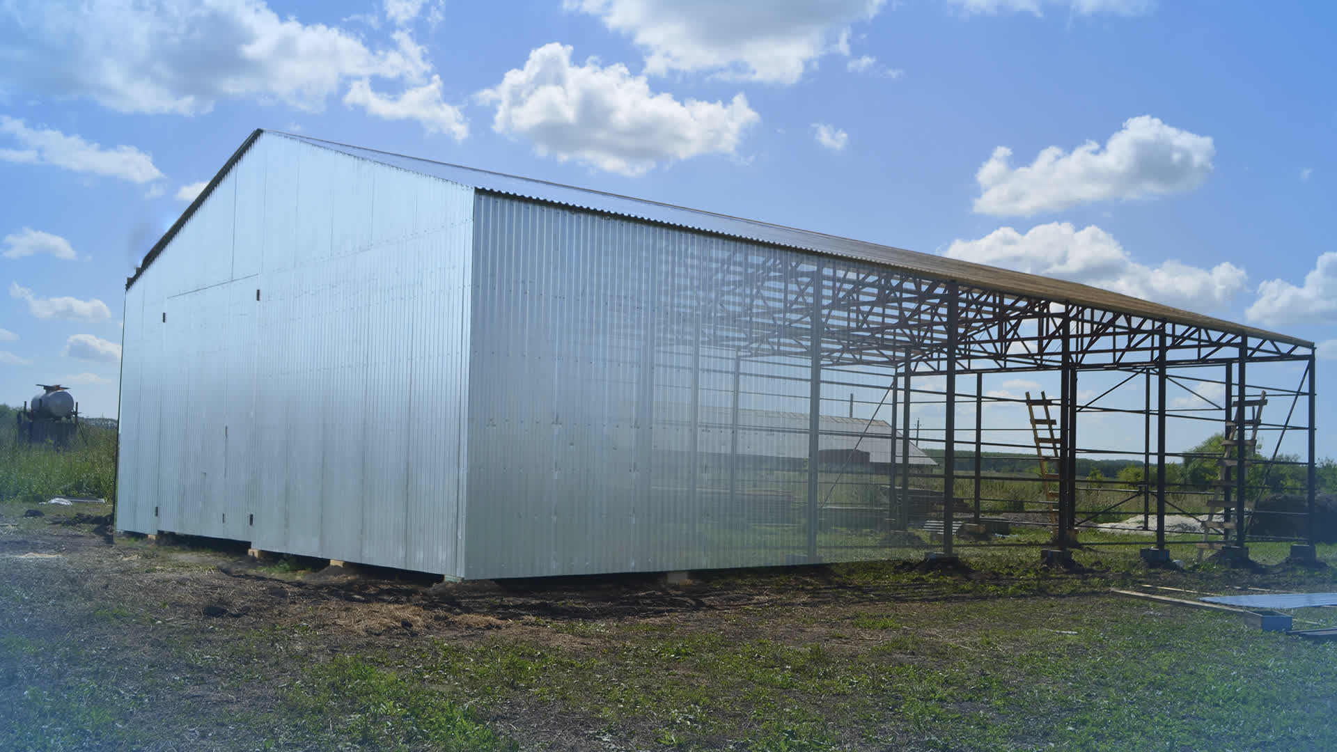 Ангар прямостенный