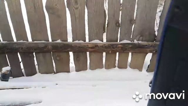 ПРОТИВОТУМАНКИ СВОИМИ Руками, ДХО смотреть онлайн