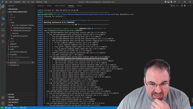 Finding and Remediating Vulnerabilities with Maven Dependency Management смотреть онлайн