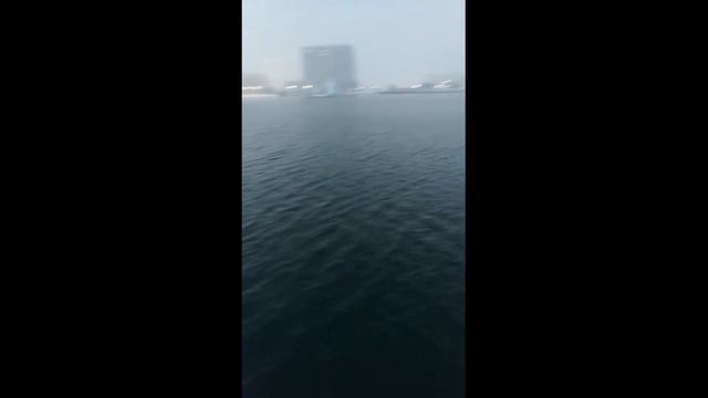 Норвегия зимой. Осло. -30, говорят, что русские не боятся холода, ХА! Посмотри это! Как вам такое? смотреть онлайн