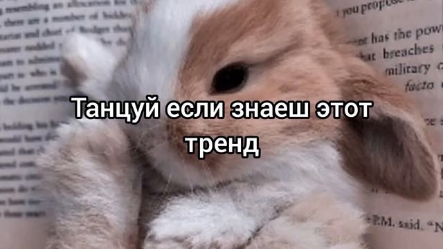 Танцуй если знаеш этот тренд 2023 смотреть онлайн