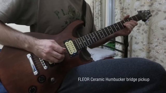 FLEOR Vs Powersound Humbucker Pickups