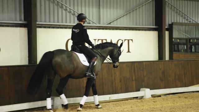 JOE STOCKDALE RIDES SONNY!!!! смотреть онлайн