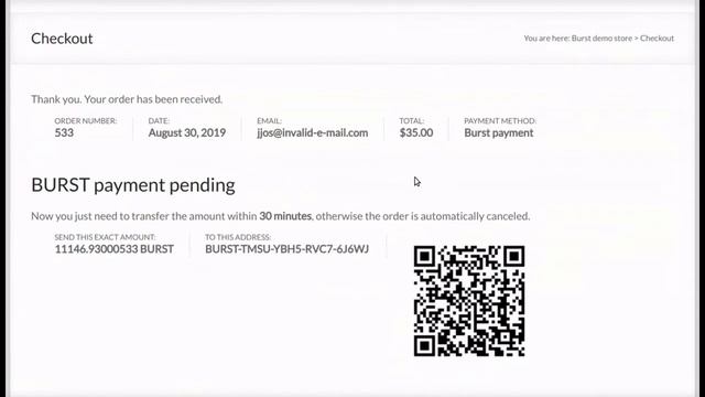 WooCommerce (WordPress) BURST payment demo смотреть онлайн