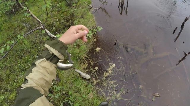 ЛОВЛЯ ФОРЕЛИ НА УДОЧКУ / TROUT FISHING FOR THE BAIT смотреть онлайн