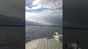 Лодка Обь 3 и Evinrude E-tec 40 л.с.