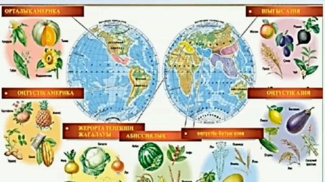 Биология. 8 сынып. IV тоқсан. смотреть онлайн