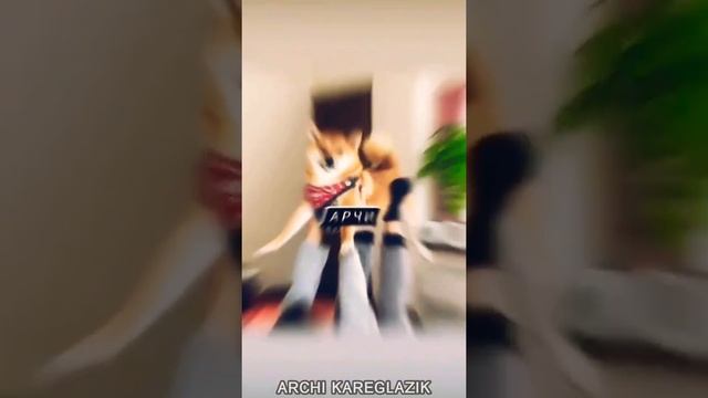 Как назвать щенка(мальчика)☺️✨#ᴀʀᴄʜɪ ᴋᴀʀᴇɢʟᴀᴢɪᴋ смотреть онлайн