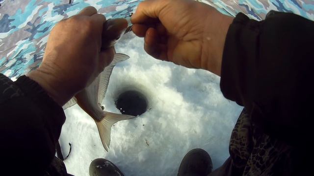 Лещ- подлещик на мормышку. Трудовая рыбалка в коряжнике. смотреть онлайн