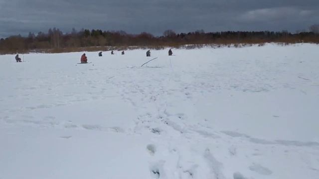 Рыбалка на Ветлуге. Первый выезд на налима. смотреть онлайн