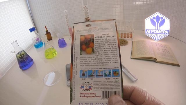 Томат Медовая гроздь. СеДеК смотреть онлайн