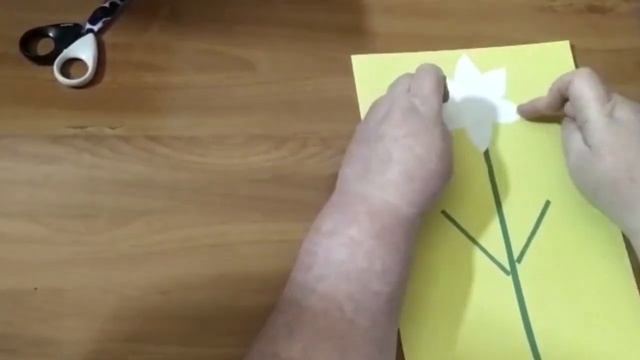 Видео занятие в средней группе. Ознакомление с окружающим миром. Тема "Весенние цветы "(аппликация смотреть онлайн