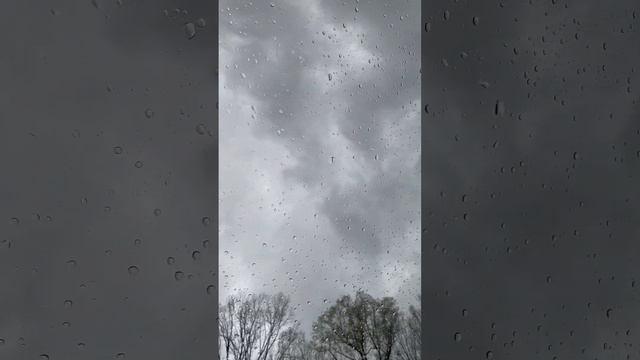Slivers of Hope смотреть онлайн