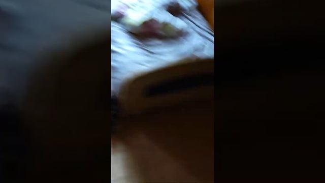 рум тур по моему дому на даче смотреть онлайн