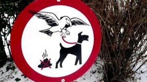 Самые необычные и смешные дорожные знаки мира 1