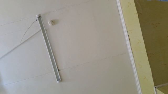 Миграционка. ОМС Семей. Сотрудник.