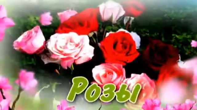 Цветочный город смотреть онлайн