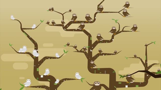 Can wildlife adapt to climate change? - Erin Eastwood смотреть онлайн