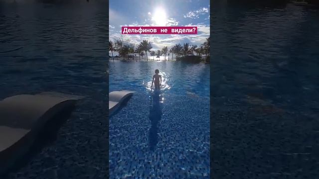 Открытие туристического сезона Вьетнам зима 2023-24, Movenpick Waverly Phu Quoc смотреть онлайн