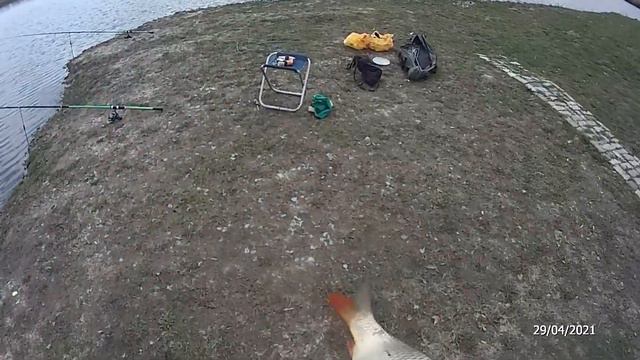 РЫБАЛКА ВЕСНА 2021 КАРП И ОСЕТР смотреть онлайн