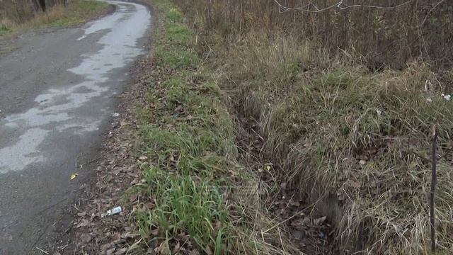 Чтобы обратить на себя внимание, жителям квартала Матросова пришлось обратиться к и.о. главы округа смотреть онлайн