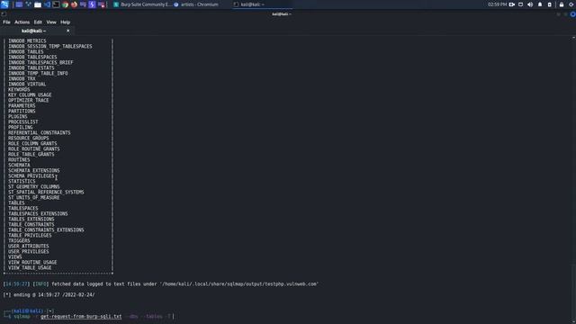 Exploit a SQLi for dumping the db of (testphp.vulnweb.com) with SQLMAP and Burp Suite (Community) смотреть онлайн