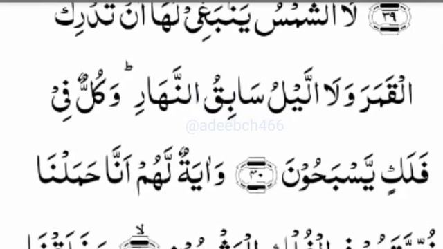 @surahyasins /surah yaseens/EP _002//beautiful //#quari Zain Abu kautsa// surah no 36 смотреть онлайн