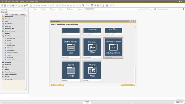 B1UP Tip: How to work with the SQL Report Dashboard widget смотреть онлайн