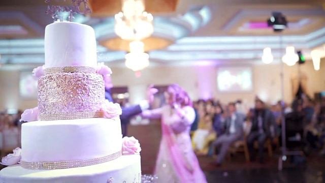 You Light Up My World | Aman & Hinda | Reception Highlights | Mirage Banquet Sacramento смотреть онлайн