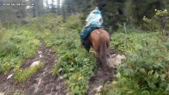 За пределами дорог - В поисках Шамбалы смотреть онлайн