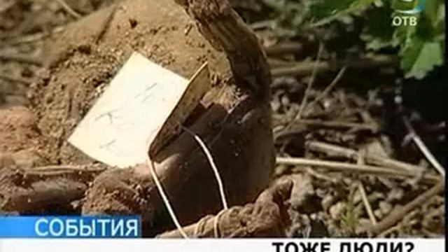 Эмбрионы -- тоже люди?