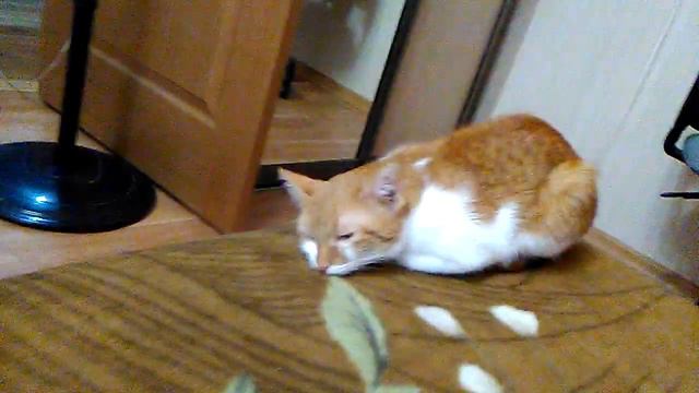 Я после школы... (Видео будет сегодня где-то в 17:00) смотреть онлайн