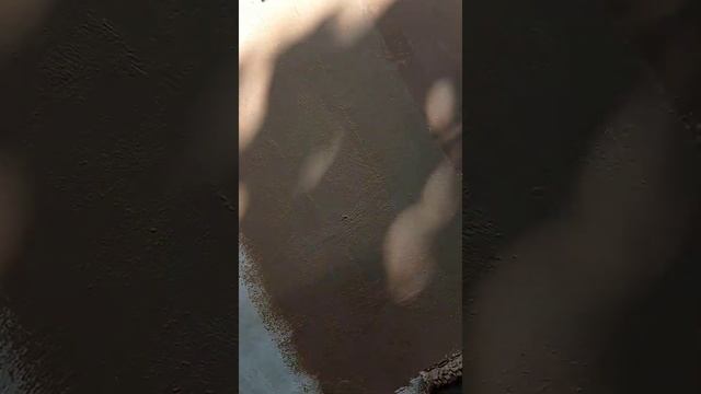 Валик или кисть?? смотреть онлайн