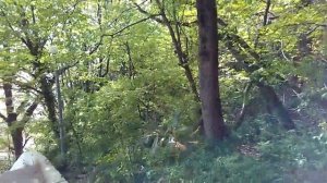 Санаторий Аврора - дорога к морю