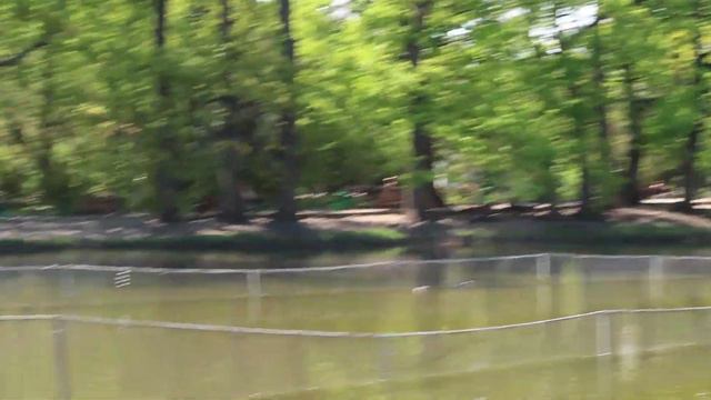 VLOG: Мечты Сбываются!!! Где мы отметим день рождения Кирилла?? 14.05.18 // Family K смотреть онлайн