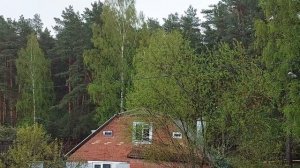 ЕСЛИ ДОЖДЬ МЕШАЕТ, ТО ОСТАНОВИМ ▴ ВЕДЬМИНА ИЗБА. ИНГА ХОСРОЕВА