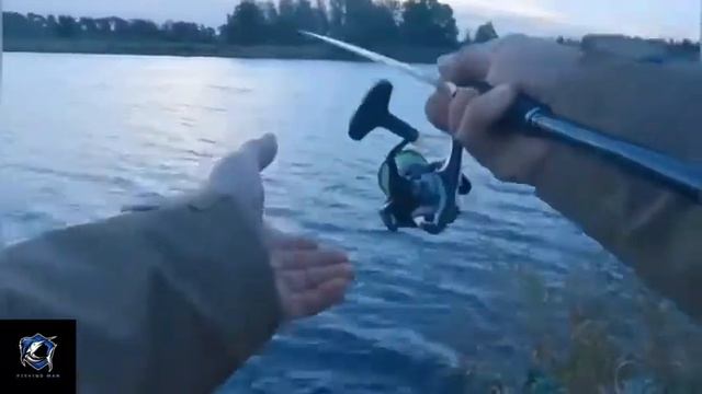 Сумашедший клев щуки. Рыбалка на спиннинг в Голландии. Тест спиннинга Shimano Zodias. смотреть онлайн