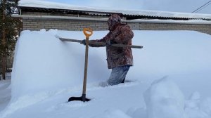 Снег заказывали? Сколько снега выдерживает теплица из поликарбоната?